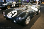 Jaguar Type D - 2ème des 24 Heures du Mans 1954